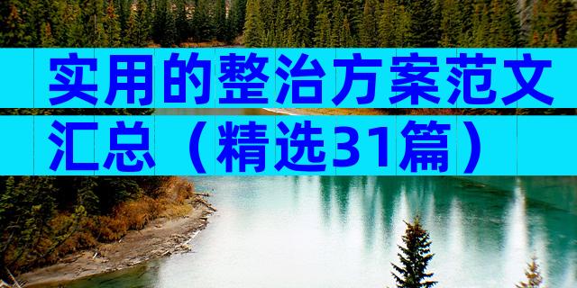 实用的整治方案范文汇总（精选31篇）