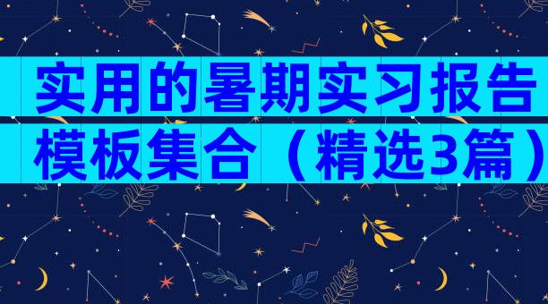实用的暑期实习报告模板集合（精选3篇）