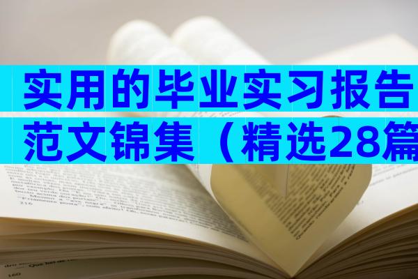 实用的毕业实习报告范文锦集（精选28篇）