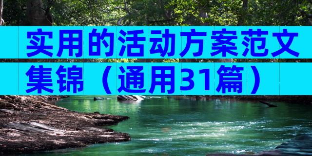 实用的活动方案范文集锦（通用31篇）