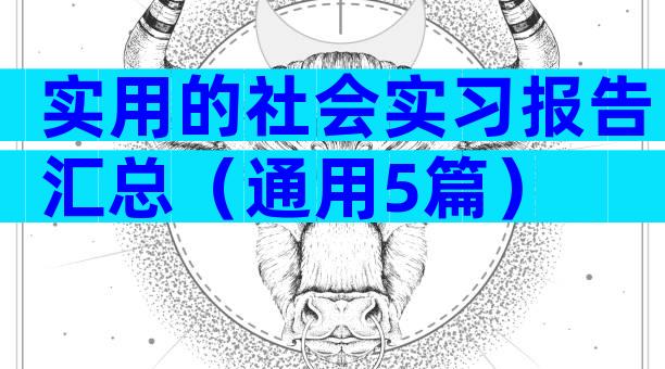 实用的社会实习报告汇总（通用5篇）