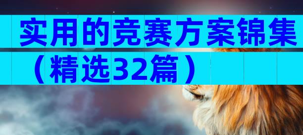 实用的竞赛方案锦集（精选32篇）