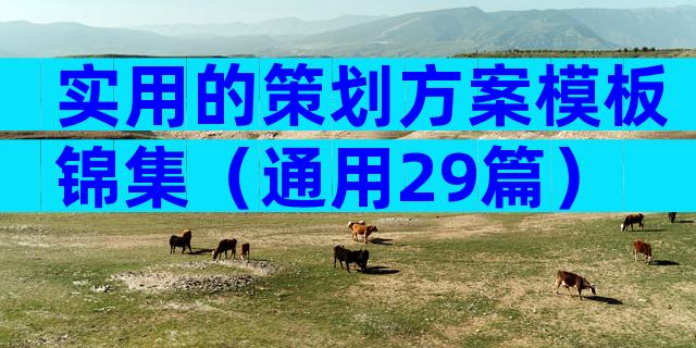 实用的策划方案模板锦集（通用29篇）