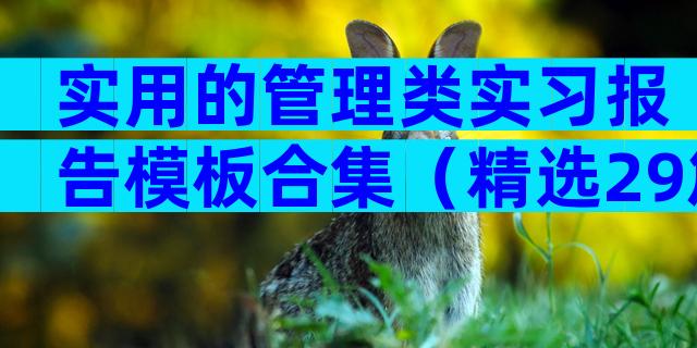 实用的管理类实习报告模板合集（精选29篇）