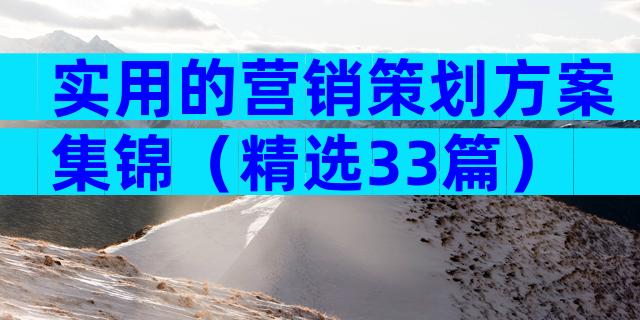 实用的营销策划方案集锦（精选33篇）