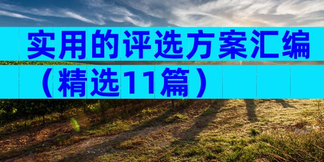 实用的评选方案汇编（精选11篇）