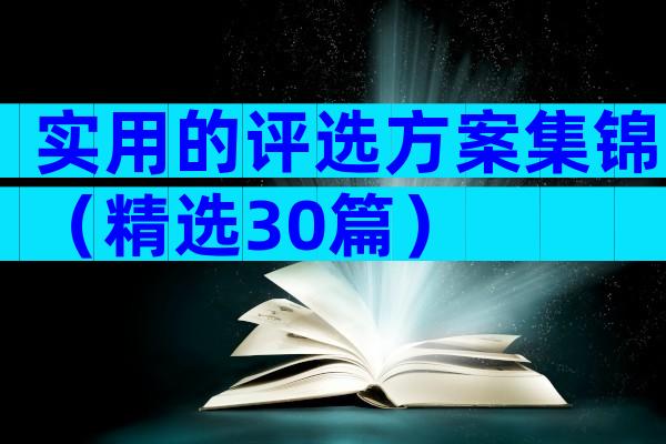 实用的评选方案集锦（精选30篇）