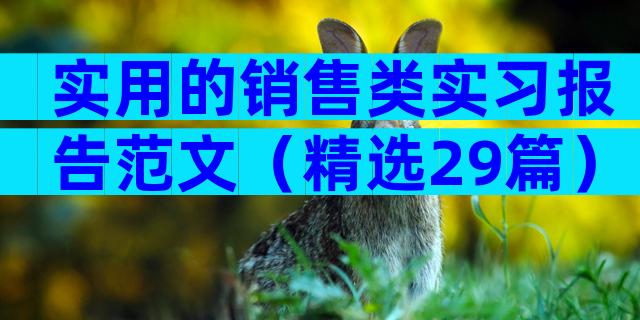 实用的销售类实习报告范文（精选29篇）