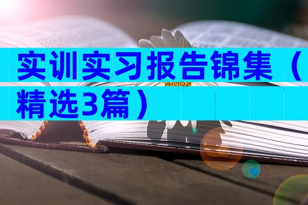 实训实习报告锦集（精选3篇）