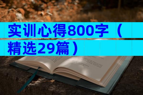 实训心得800字（精选29篇）