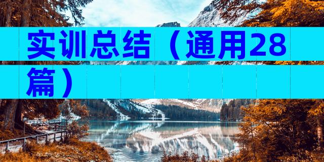实训总结（通用28篇）