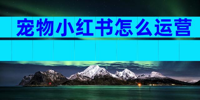 宠物小红书怎么运营