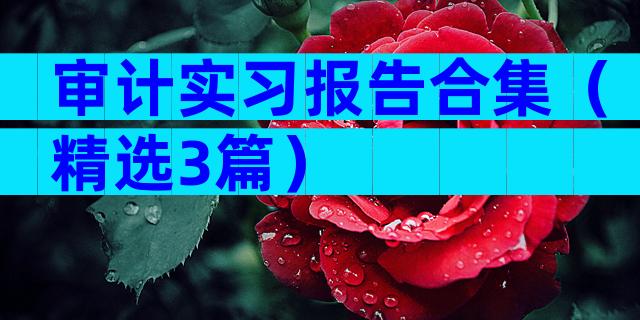 审计实习报告合集（精选3篇）