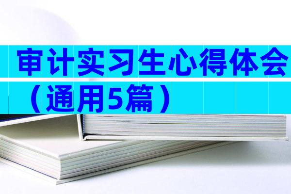 审计实习生心得体会（通用5篇）
