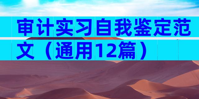 审计实习自我鉴定范文（通用12篇）