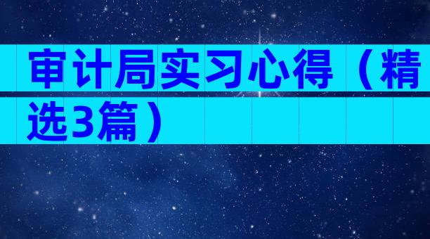 审计局实习心得（精选3篇）