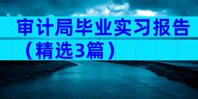 审计局毕业实习报告（精选3篇）