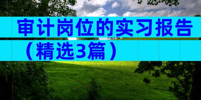 审计岗位的实习报告（精选3篇）