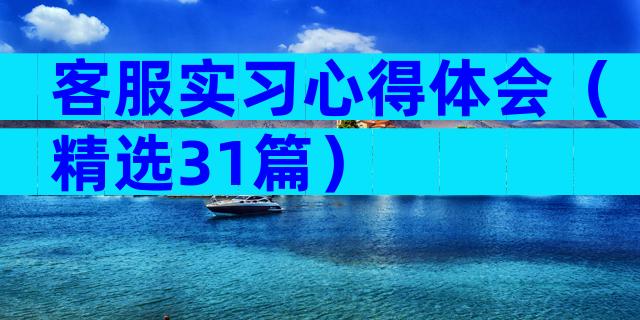 客服实习心得体会（精选31篇）