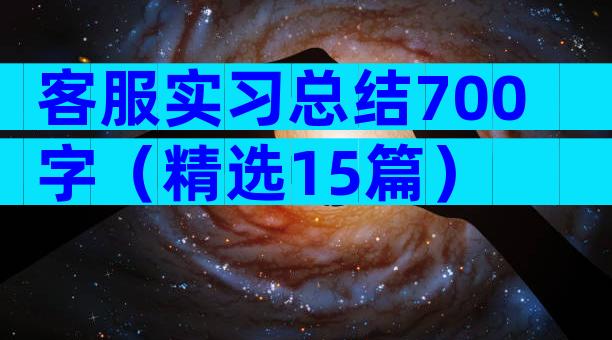 客服实习总结700字（精选15篇）