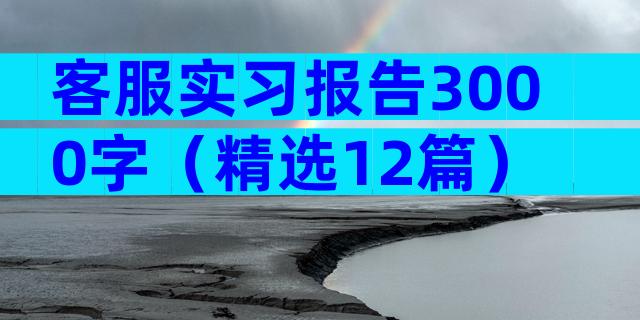 客服实习报告3000字（精选12篇）