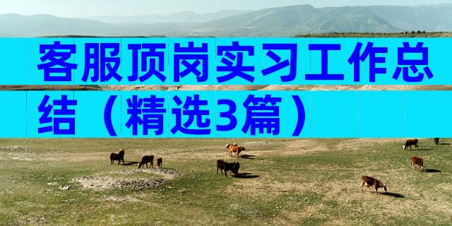 客服顶岗实习工作总结（精选3篇）