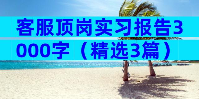 客服顶岗实习报告3000字（精选3篇）