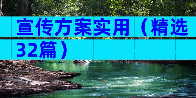 宣传方案实用（精选32篇）