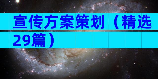 宣传方案策划（精选29篇）