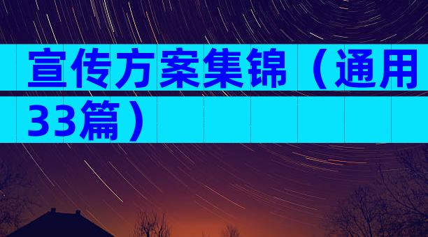 宣传方案集锦（通用33篇）