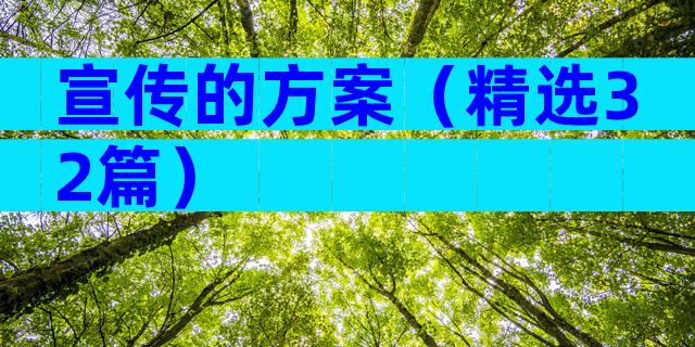 宣传的方案（精选32篇）