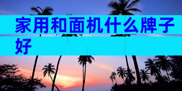 家用和面机什么牌子好
