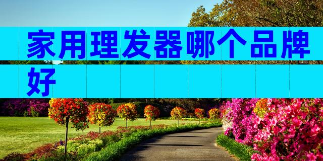 家用理发器哪个品牌好