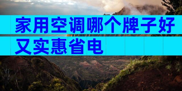家用空调哪个牌子好又实惠省电