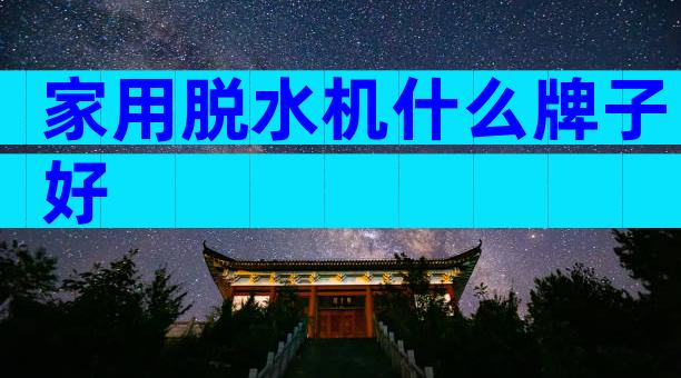 家用脱水机什么牌子好