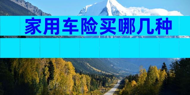 家用车险买哪几种