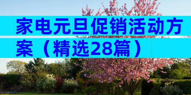 家电元旦促销活动方案（精选28篇）