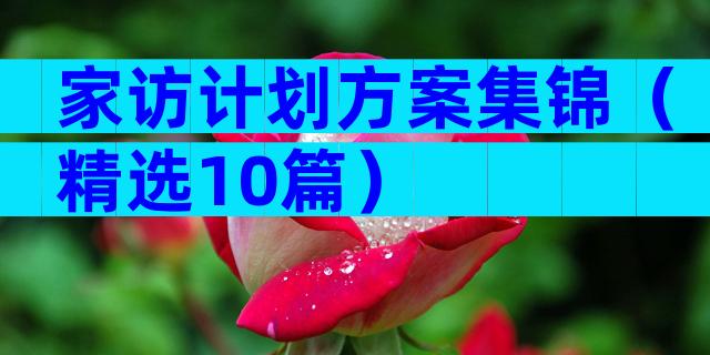 家访计划方案集锦（精选10篇）
