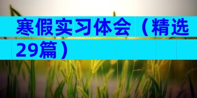 寒假实习体会（精选29篇）