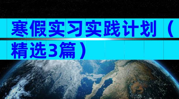 寒假实习实践计划（精选3篇）