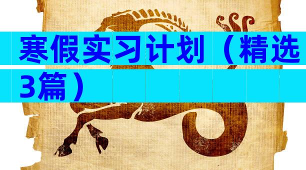 寒假实习计划（精选3篇）