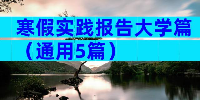寒假实践报告大学篇（通用5篇）