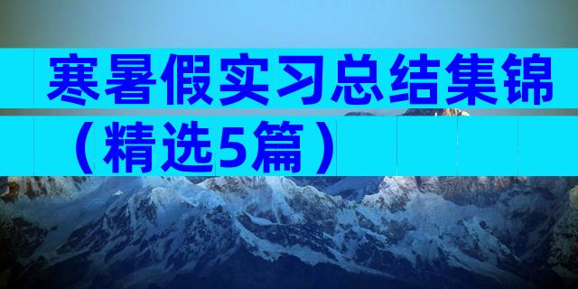 寒暑假实习总结集锦（精选5篇）