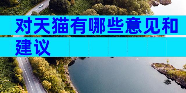 对天猫有哪些意见和建议