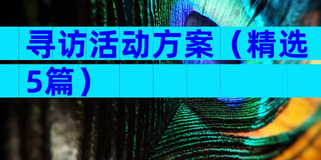寻访活动方案（精选5篇）
