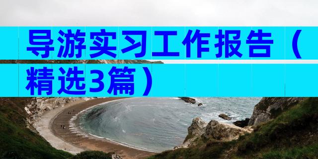 导游实习工作报告（精选3篇）