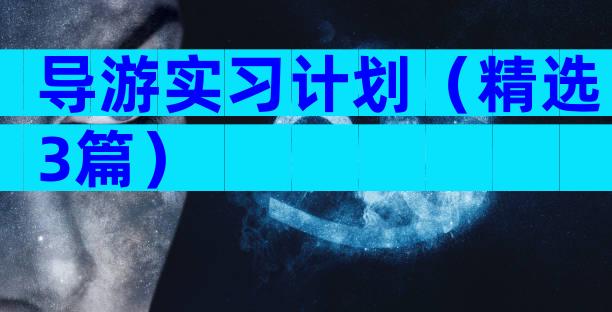 导游实习计划（精选3篇）