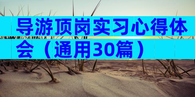 导游顶岗实习心得体会（通用30篇）