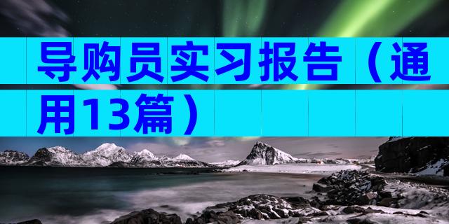 导购员实习报告（通用13篇）