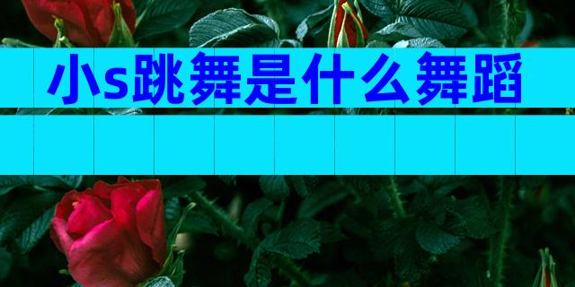 小s跳舞是什么舞蹈